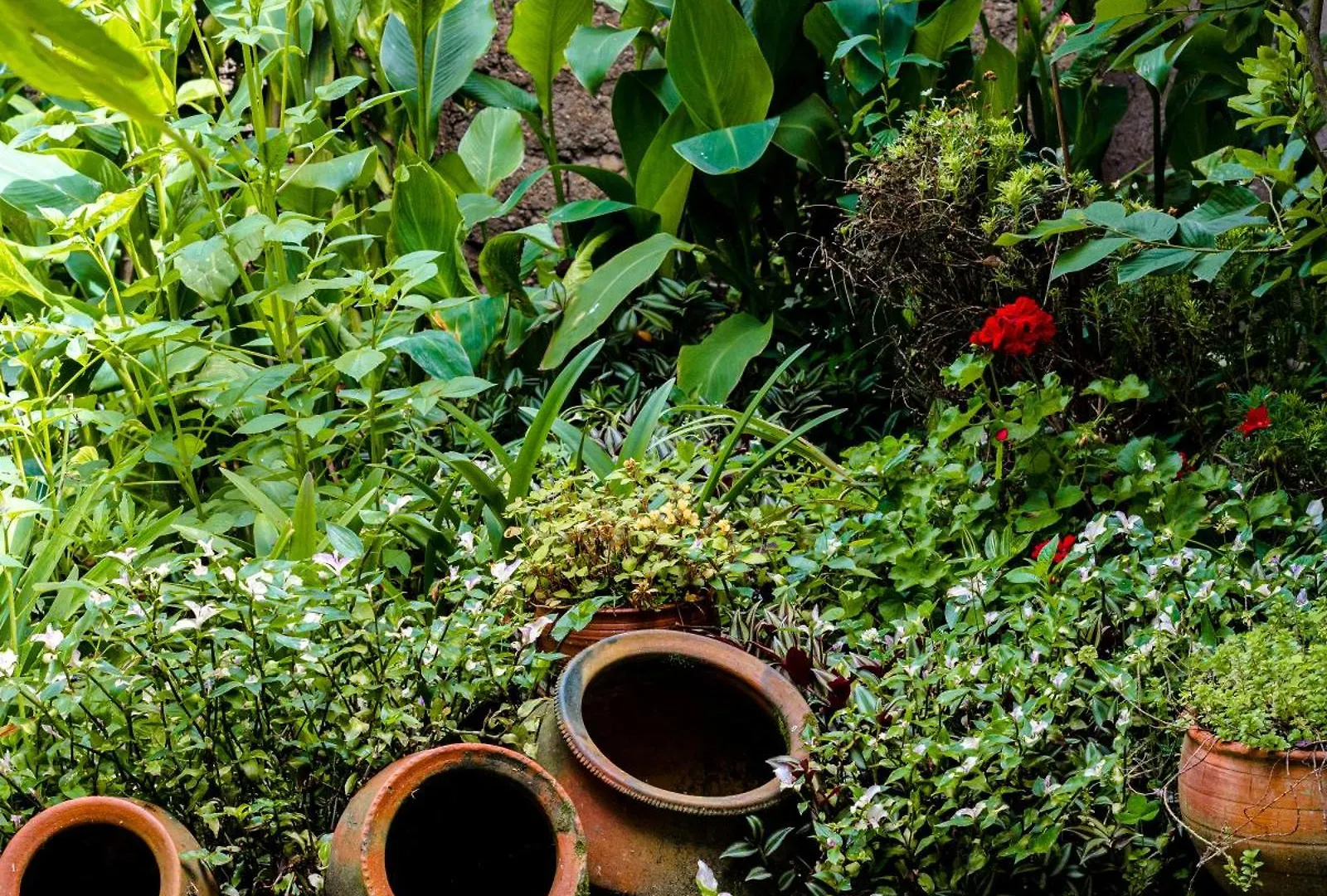 Casa Montalvo Bed&Breakfast Cuenca Hotel